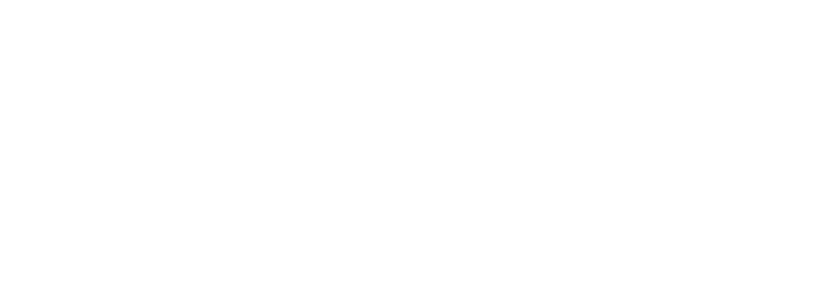 DNS Computer Services
